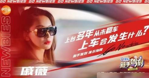  明星|原来明星也为“驾照愁”，《新手驾到》全新上线，有你喜欢的人吗