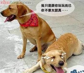 劫匪|搞笑:花季少女碰见劫匪