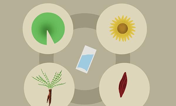  每家|每家都有的伤肝的食物，教你一些小妙招，轻松远离肝病！