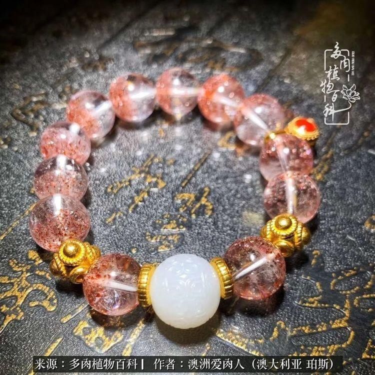 血放|多肉让你把血放，文玩掏空你家当，你要在哪个坑里乘风破浪？