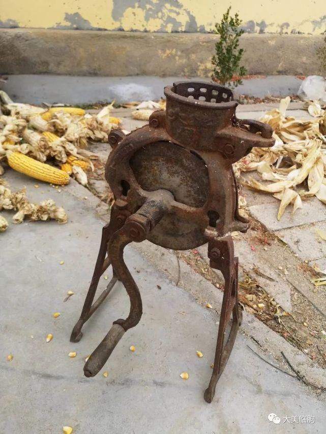 乡村|临朐、乡村、美食、熟悉的画面