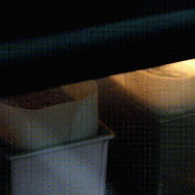  中种面团|顶级吐司面包全书