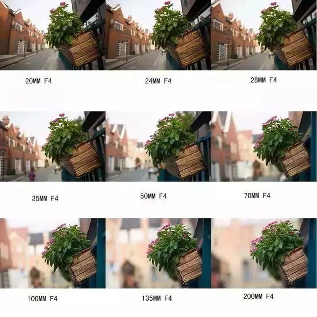 视角|【摄影讲评】焦距到底是个什么 第1226讲?