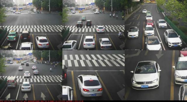 占用公交|闽AV256F、闽ASH677……一大批闽A车被曝光！