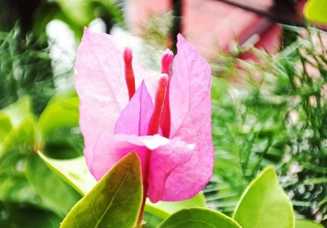 小米手机|Redmi K30 至尊版体验:既是「至尊」,又如何做到低价?