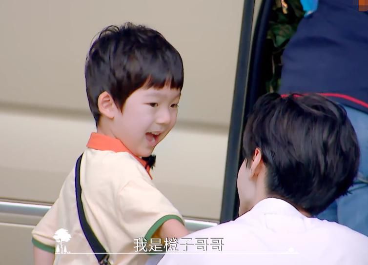  橙子|谭松韵因故离开《小森林》，新嘉宾神似张新成，被误认是橙子哥哥