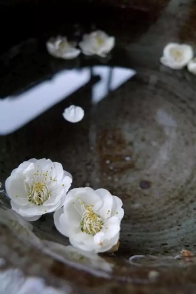  闲则能|偷得浮生，半日闲