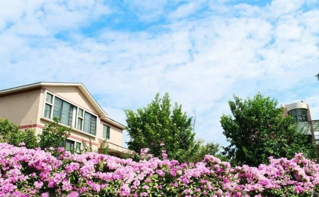  独立学院|@高考生们，纠结志愿怎么填？身处广州改革开放窗口的这所高校，不来pick一下？