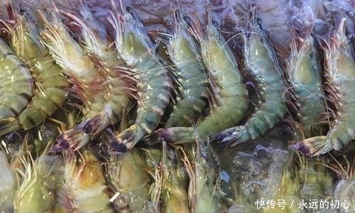 不对|鲜虾保存直接放冰箱是不对的,教你正确做法,放1个月鲜美不发黑
