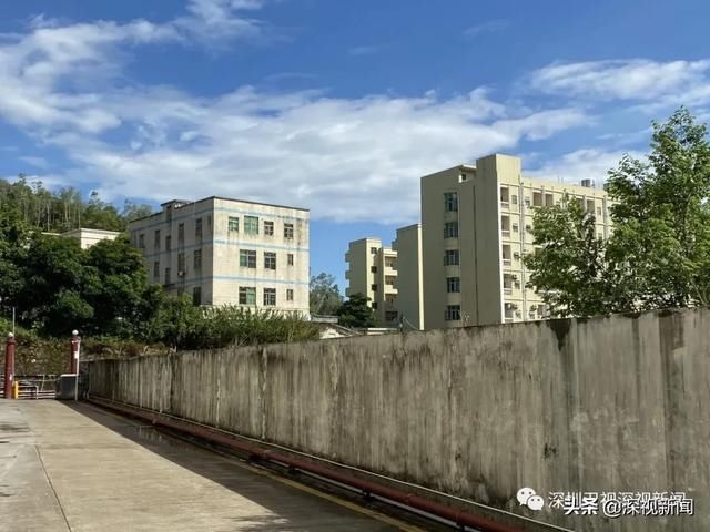  港籍货车司机|追踪港籍司机轨迹：龙岗密接者已被隔离，东莞又曝其最新行动轨迹