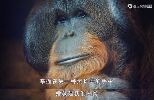  佳作|豆瓣预定超9分的佳作：原来我们错过许多惊喜，真遗憾没早点看到