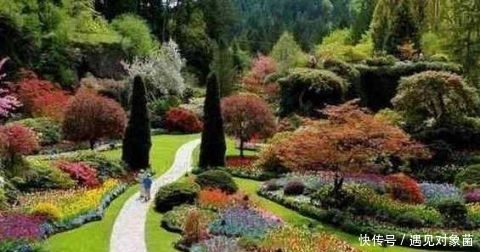 年来|英国老人退休后,把一生所爱献给这片荒地,25年来从不停歇