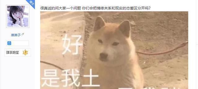  玩家|女玩家深夜求助：游戏老公对我太好，但是我不想深陷其中怎么办？