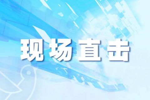  一心二用|司机“一心二用”撞上公交车，因边开车边看手机负全责