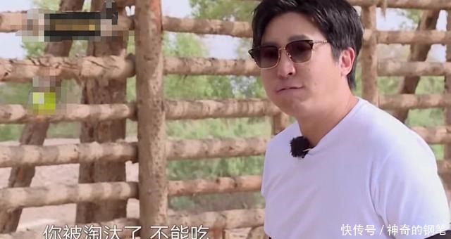 极限挑战|《宝藏行》导演组意见分歧,郭京飞左右都是错,还被批无视规则