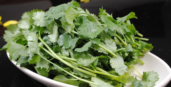  作用|你爱吃香菜吗？香菜的功效与作用你知道多少呢？快来看看吧！