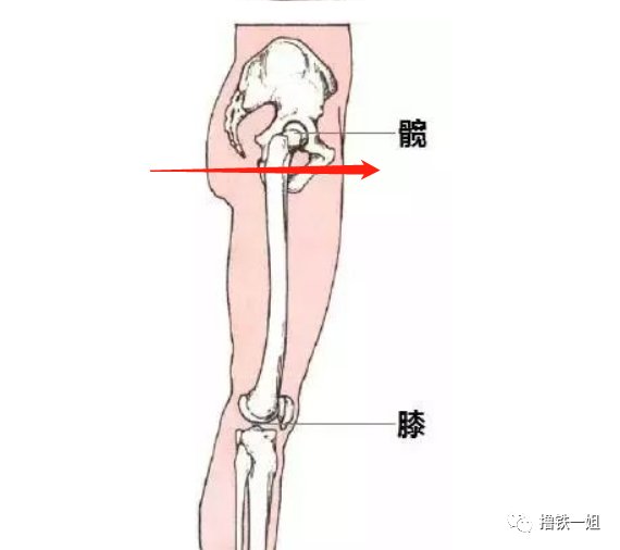  训练|赵丽颖身材都练得这么好了，还有网友喷她是奚梦瑶同款扁平臀？！