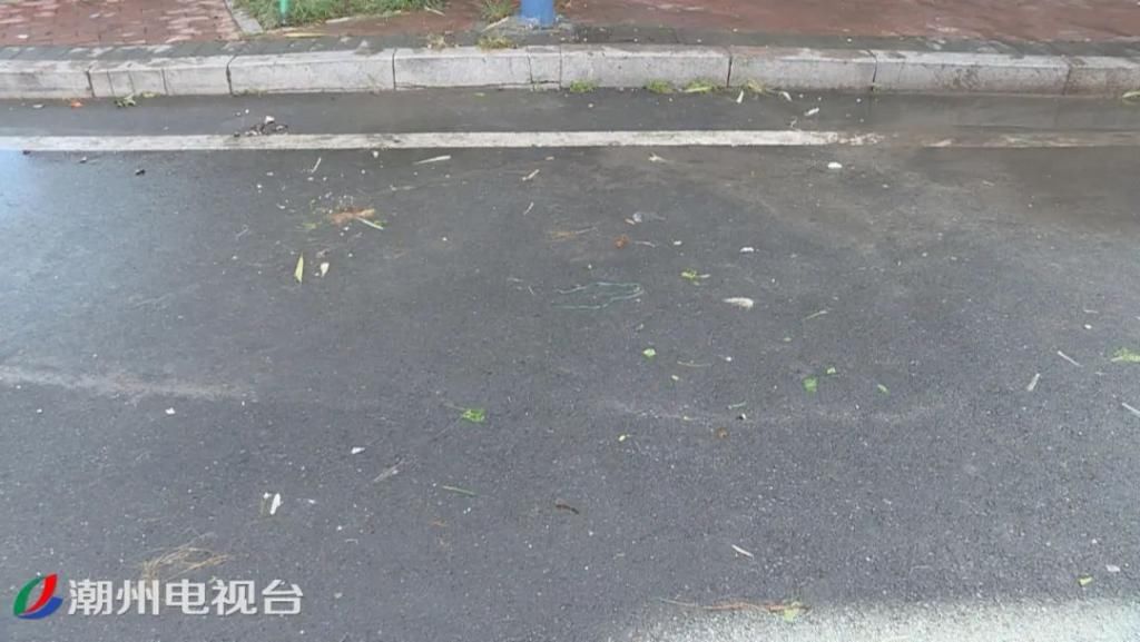 路段|潮州福安路段道路中间停放着近10辆私家车，把路面当成了自己的停车场