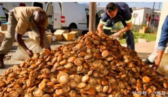  发现|货车在高速路上被拦截下来，打开车厢后，让警察不淡定