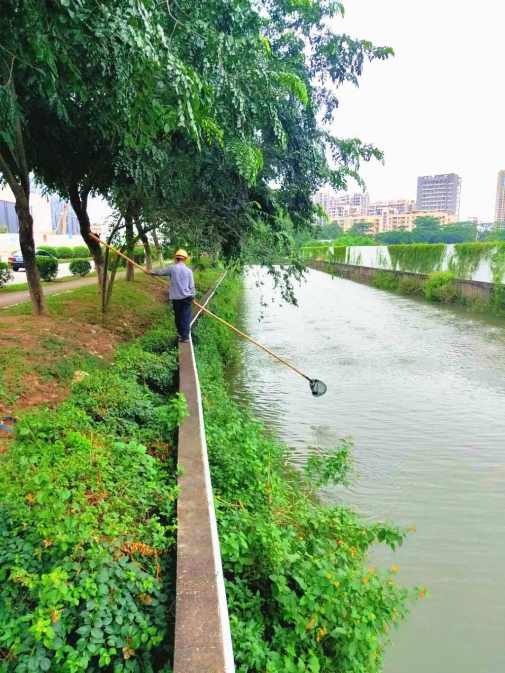 南区|“双节”不打烊！南区奋力打赢黑臭水体整治攻坚战