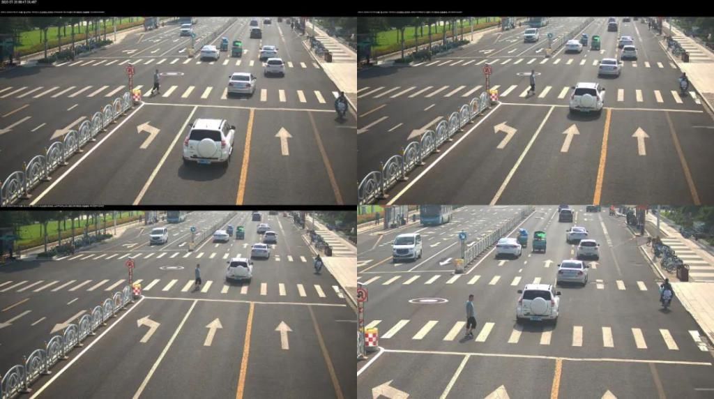 车辆|创城交警在行动丨不礼让斑马线,这些车辆被曝光了!