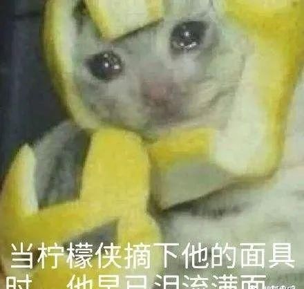  日报|娱乐日报|毛晓彤新恋情曝光？金晨汪汐潮再被拍？孟佳solo倒数第一？