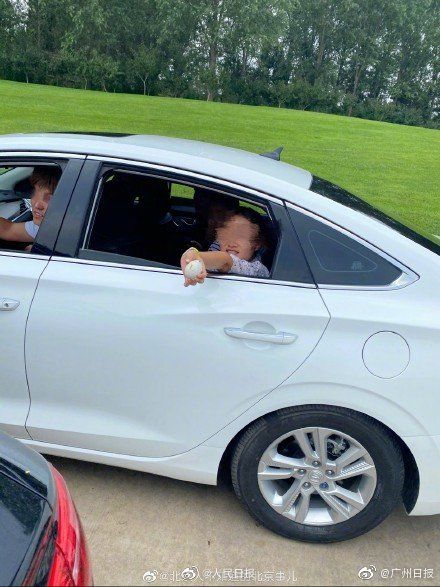 野生|北京野生动物园游客强行拿走天鹅蛋官方发声明：对该行为深感遗憾