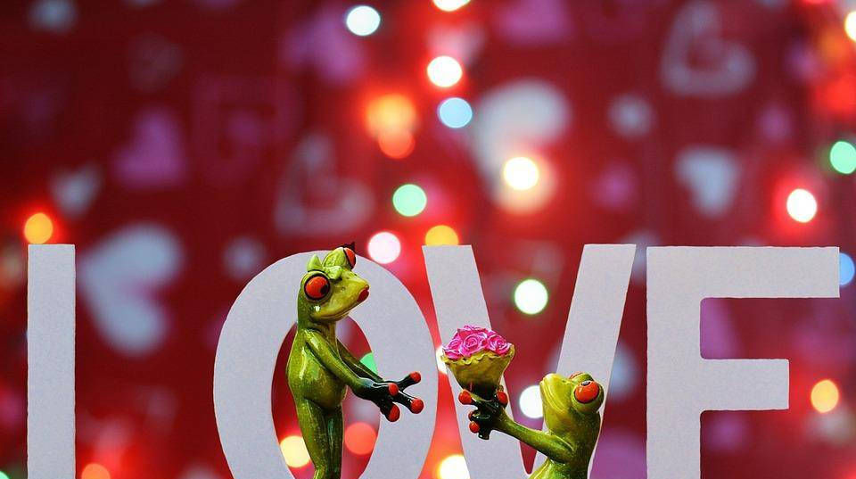 单身|985高颜值硕士女至今单身，茫茫人海，遇见他的概率比彩票还小？