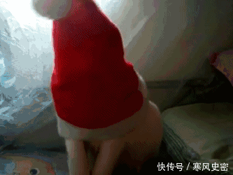 漫画|搞笑漫画:小伙子忽然认为抄近路可行