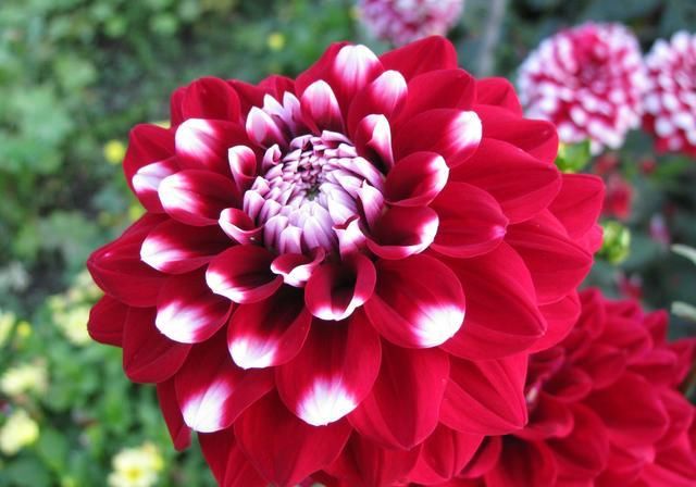  双鱼座|双鱼座是什么样的人，你真的读懂了吗？