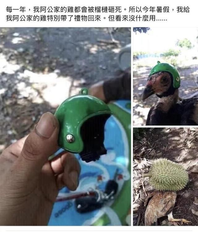  骗子|被骗子骗了70元后，根据网友提示这样做！骗子回复太搞笑了哈哈哈