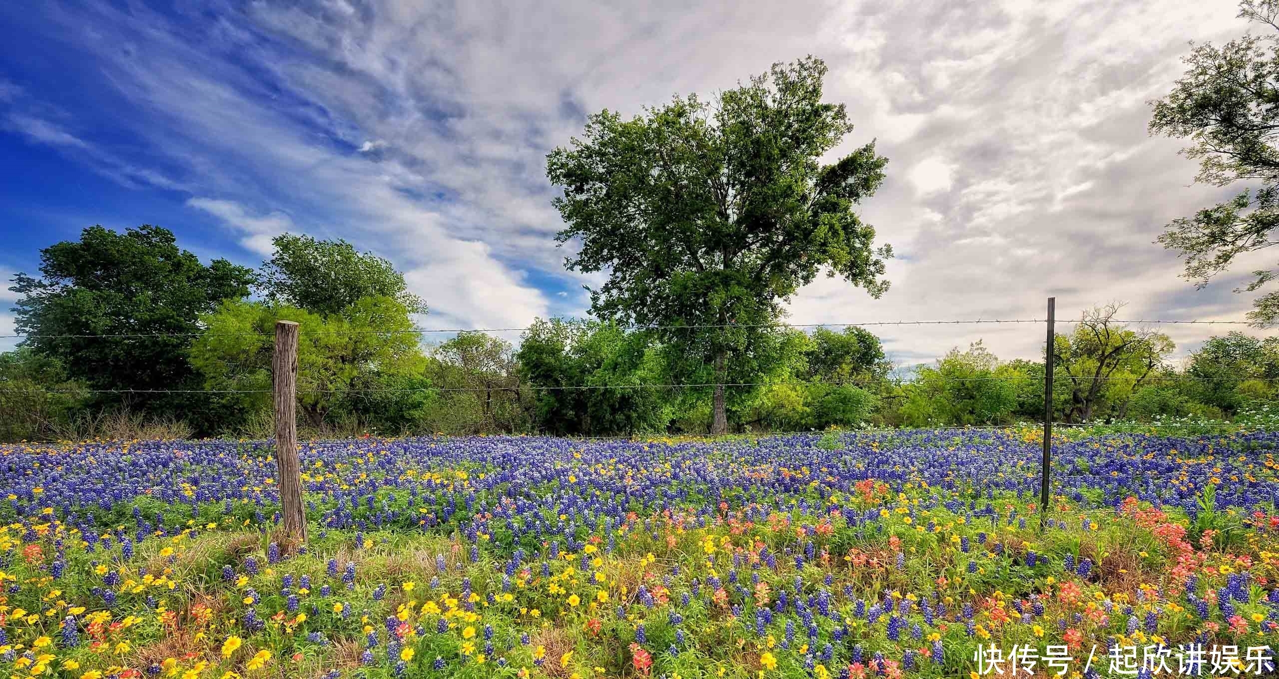  欢喜|在近期，千帆过尽，初心不改，四大星座与旧爱一如初见，欢喜复合