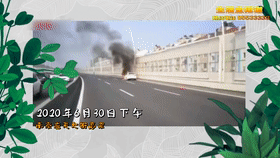  线路|注意！一不小心就烧成渣，已有多辆汽车中招