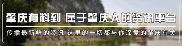  违章|电动车“违章王”？违章罚单打出来有3米多长！