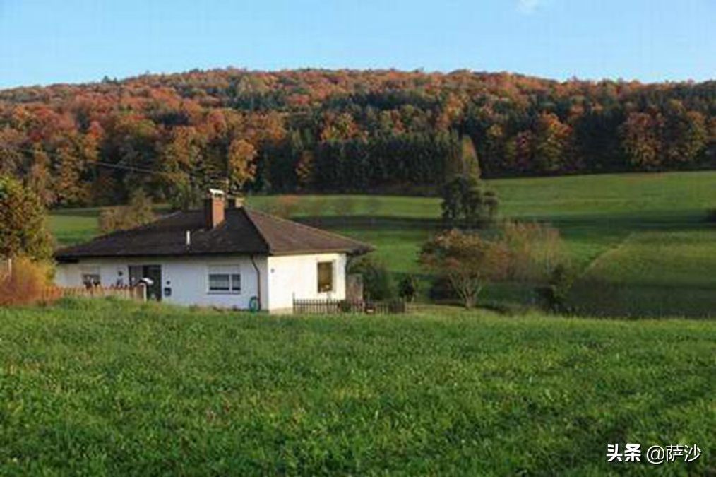 村民|第1个不坐牢的特大精神病杀人犯:1913年9月4日华格纳案件