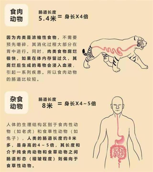  哺乳动物|地球上原本没有人，那第一个人是怎么出现的