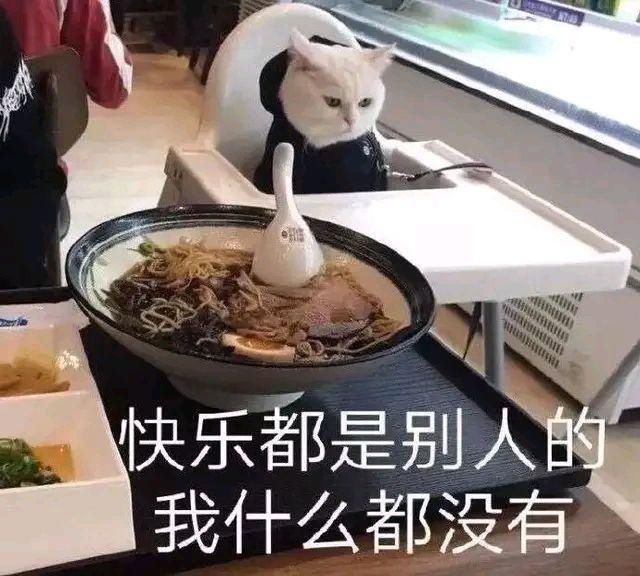 猫咪|猫咪：这年头……我们当猫的太不容易了！