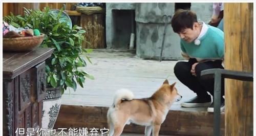  何老师|小O做坏事被黄磊吐槽，有谁注意何炅对小H说的话？堪称爱情宝典！