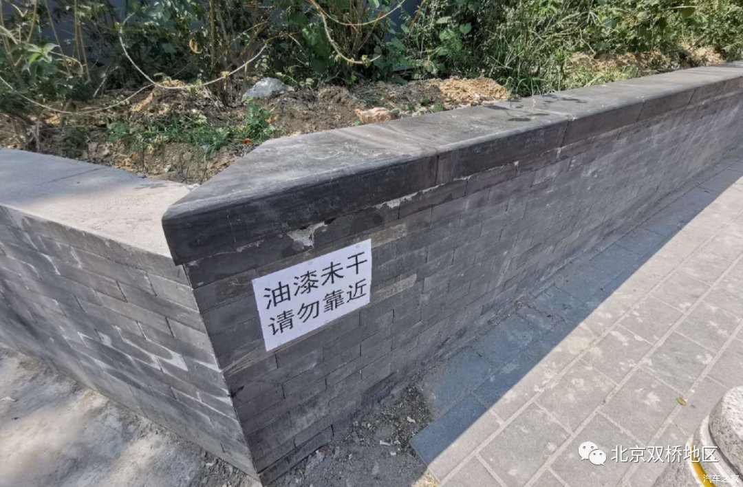  双桥|花图腾惹人眼 双桥路景观终揭开神秘面纱