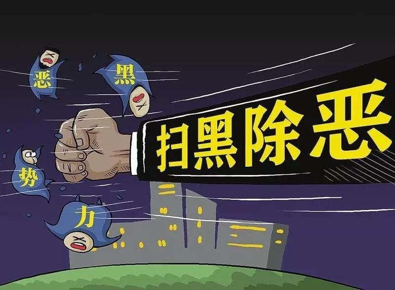  主犯|桐柏公安打掉的白某某恶势力犯罪集团主犯被判13年罚金45万