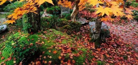  星座|没人理解，也不想表达，镇定从容的星座，哪怕再艰苦，也能熬过去