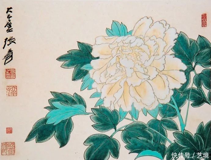 张大千花鸟画欣赏（100幅）