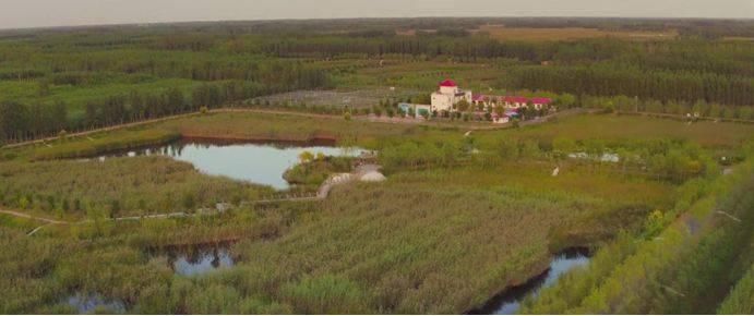  王杲|德州王杲铺镇未来15年规划发布，内含农村社区、村庄迁并一览表