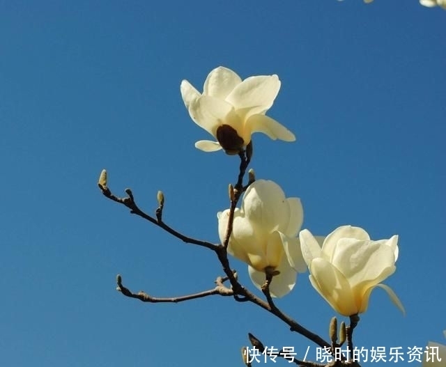 择一人深爱,等一人终老|诗词 | 深爱