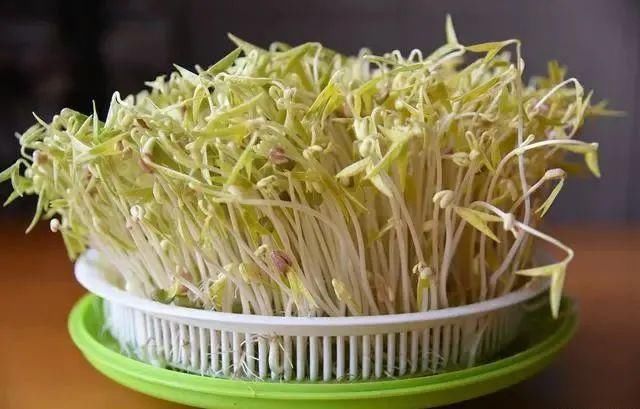  营养|这4种食物发芽后，不仅没“毒”，营养反而更高，爱吃的人真有福