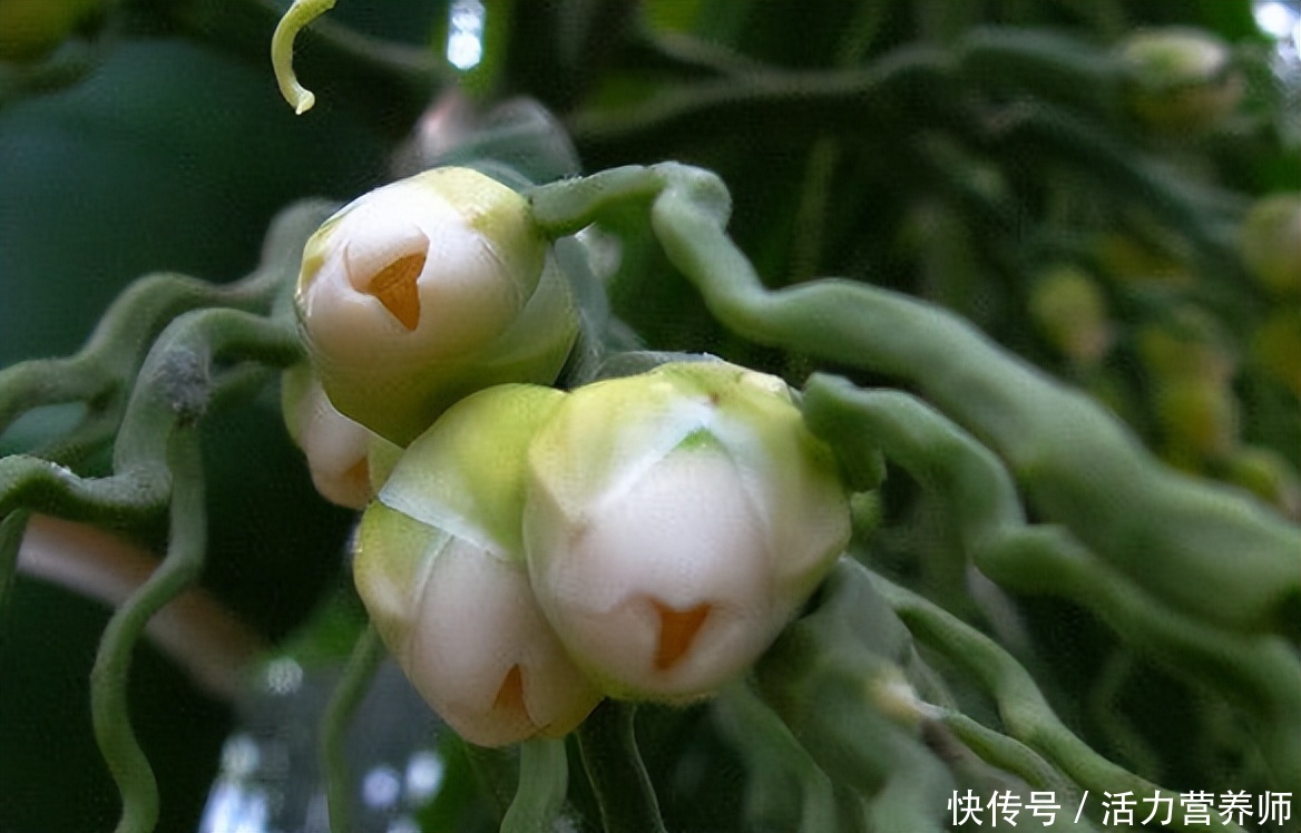 小心这5种癌症可能是吃出来的(我国一年有457万人被确诊为癌症？注意：这3种食物别再吃了)