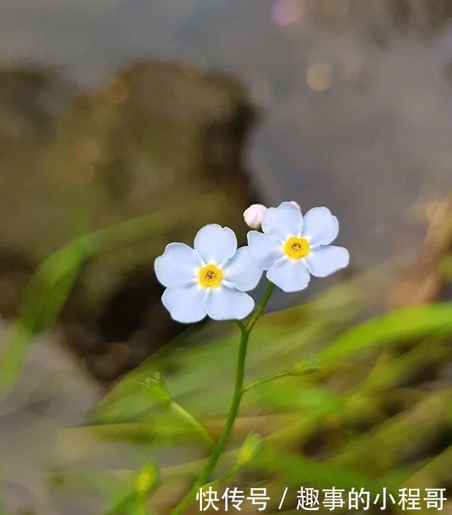 心情舒畅|让你心情舒畅的句子，经典大气，越看越宽心！