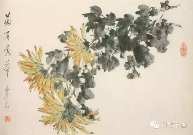  名家|秋菊佳色！——历代名家画菊