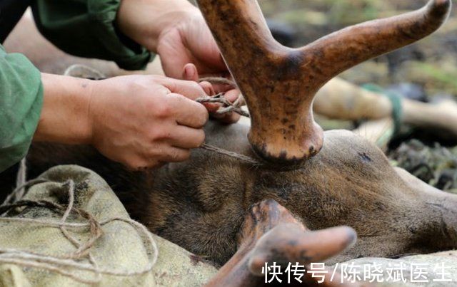 干细胞逆转衰老最新研究成果(120岁指日可待?中科院发现衰老关键代谢物，可让干细胞新生)