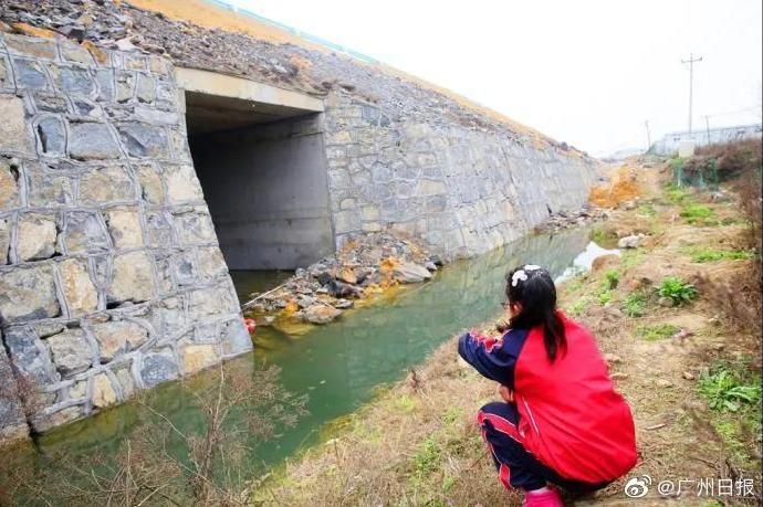  高速公路|男子救起落水女孩后又把她告上法庭 女孩家属：理解并支持